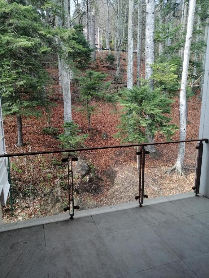 The Rock Apartment Sinaia Exterior photo