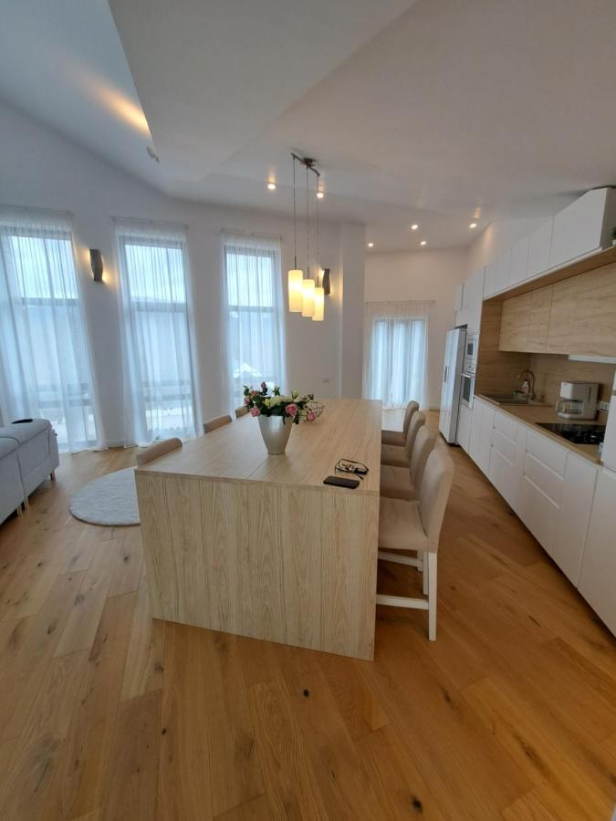 The Rock Apartment Sinaia Exterior photo