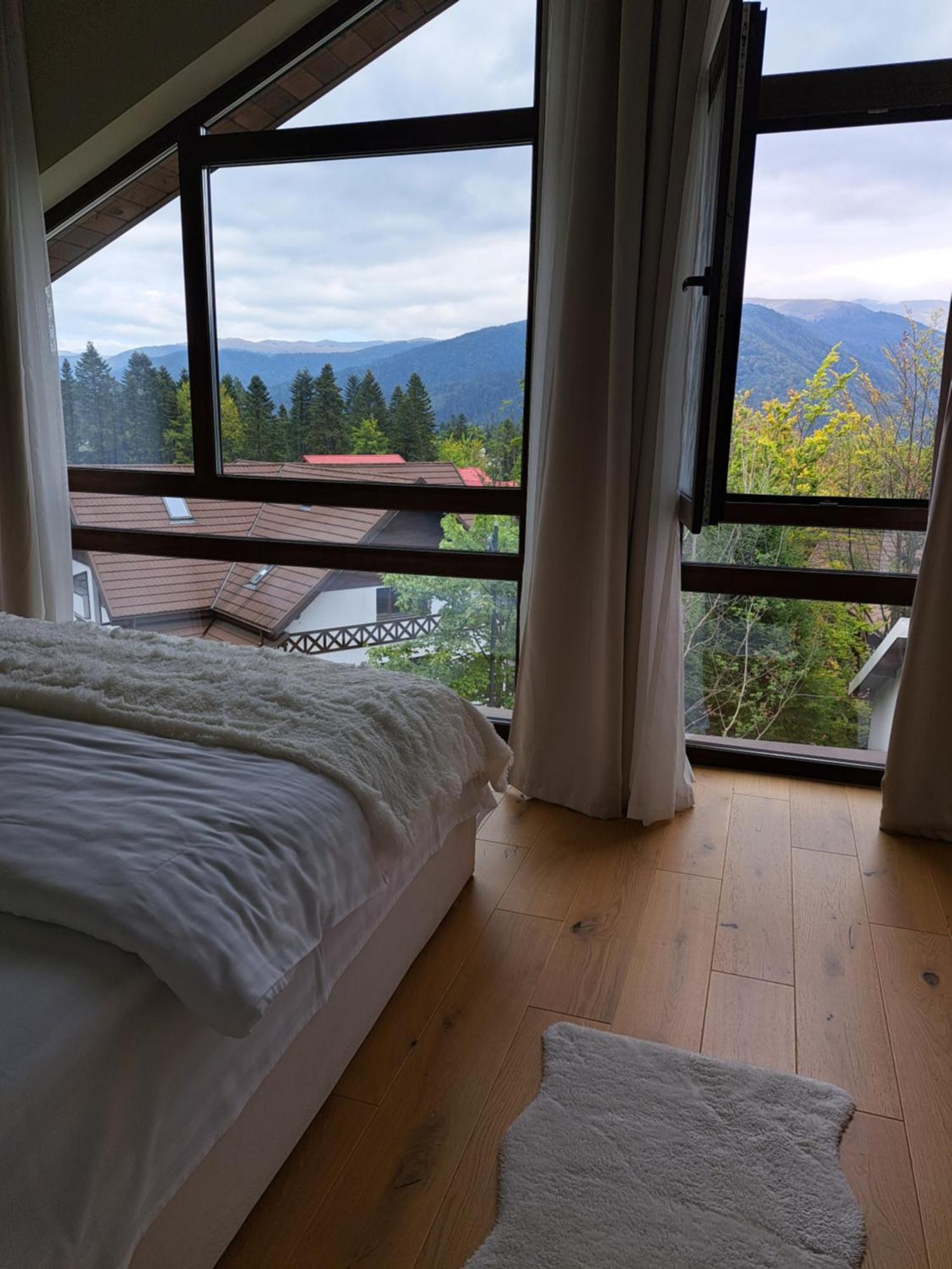 The Rock Apartment Sinaia Exterior photo