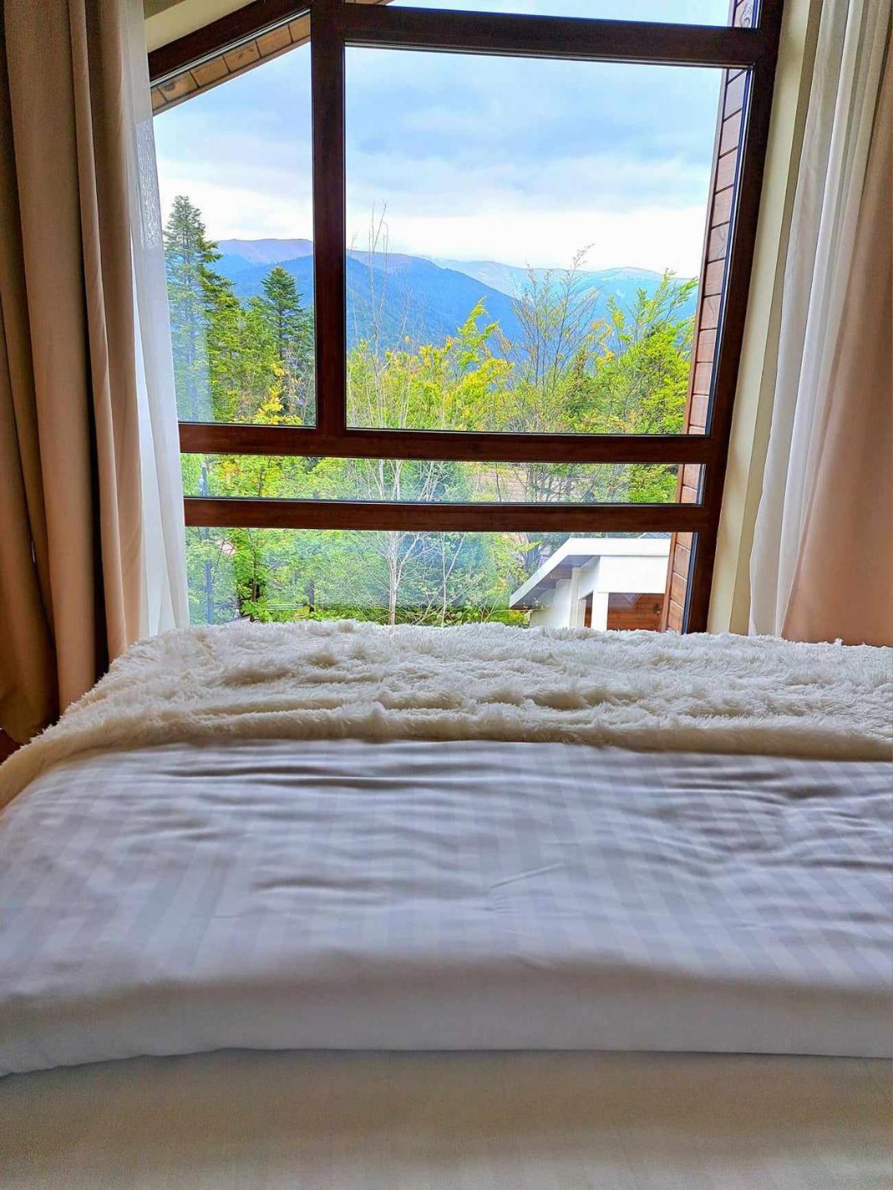 The Rock Apartment Sinaia Exterior photo